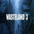 Wasteland 3