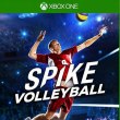 Spike Volleyball